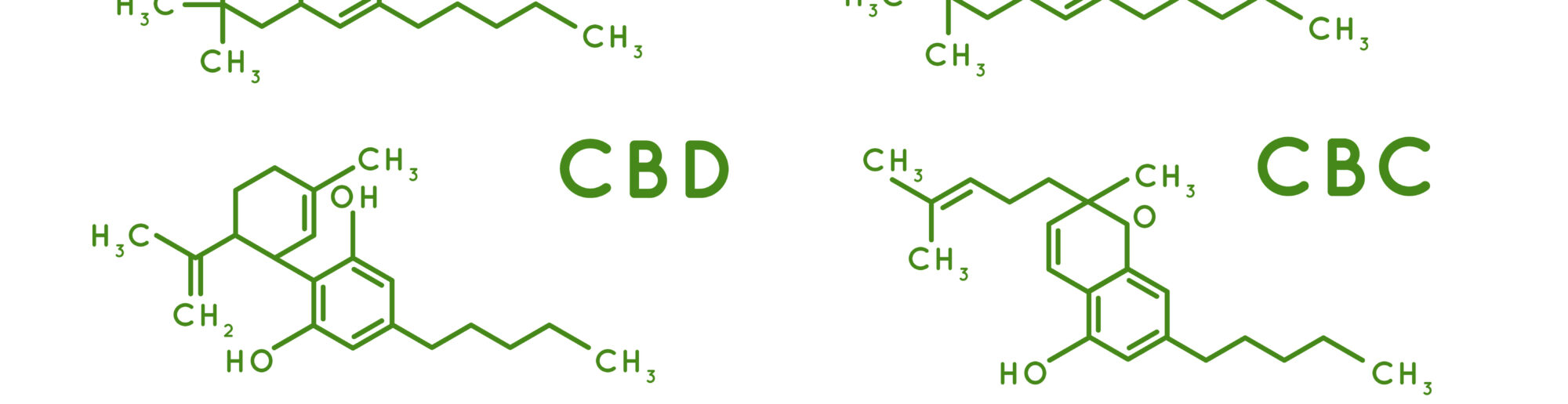 Cannabinoid structure. Cannabidiol molecular structures, THC and CBD formula. Marijuana or cannabis molecules vector illustration
